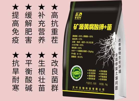 矿源黄腐酸钾和菌双倍功效如何影响土壤团粒结构的形成？